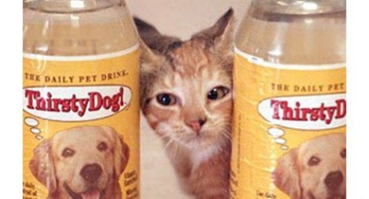 Thirsty Cat! and Thirsty Dog! bottled water.