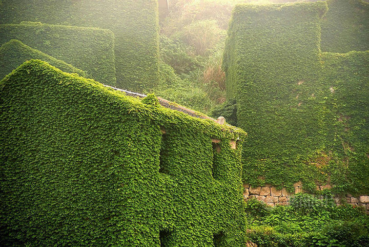 ...but beautiful green plants wrap themselves around every structure.