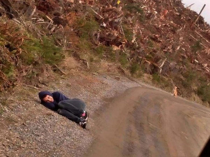 Desperate to help gain the dog's trust, Amanda rolled up in a fetal position but after 20 minutes, the dog lost interest and left. She decided to call him 'Baby Bear'.