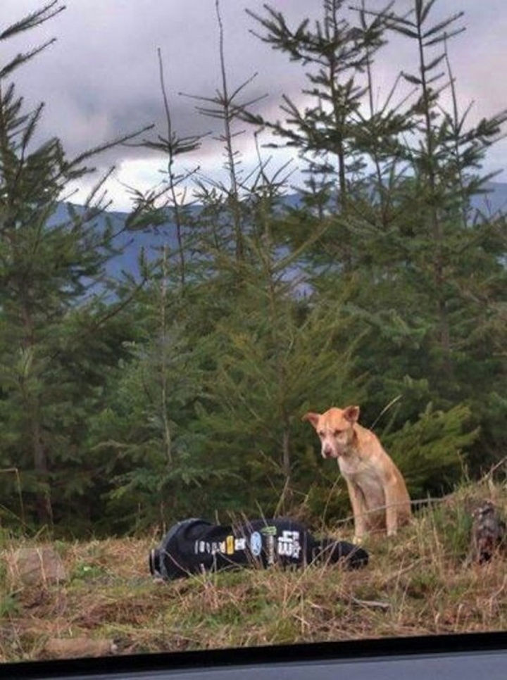 It took almost an hour, but she slowly moved closer and closer, only an inch at a time.