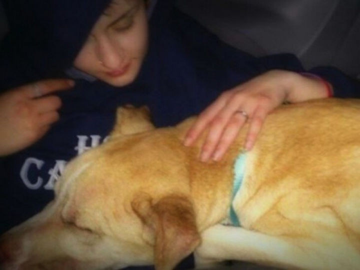 Because Bear was so exhausted, he wanted to be carried everywhere but Amanda loved it because he was finally safe!