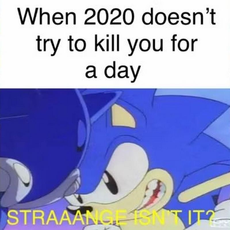 29 Funny Sonic the Hedgehog Memes