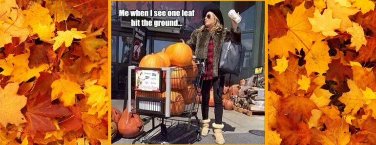 45 Funny Fall Memes for Autumn