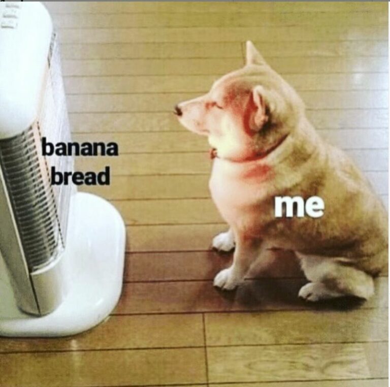 33 Funny Bread Memes You’ll Love