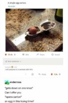 53 Funny Egg Memes That Won’t Break Your Budget