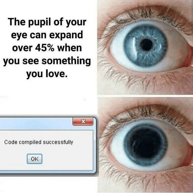 25 Funny Programming Memes for Coders Only
