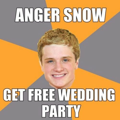 43 Funny Hunger Games Memes