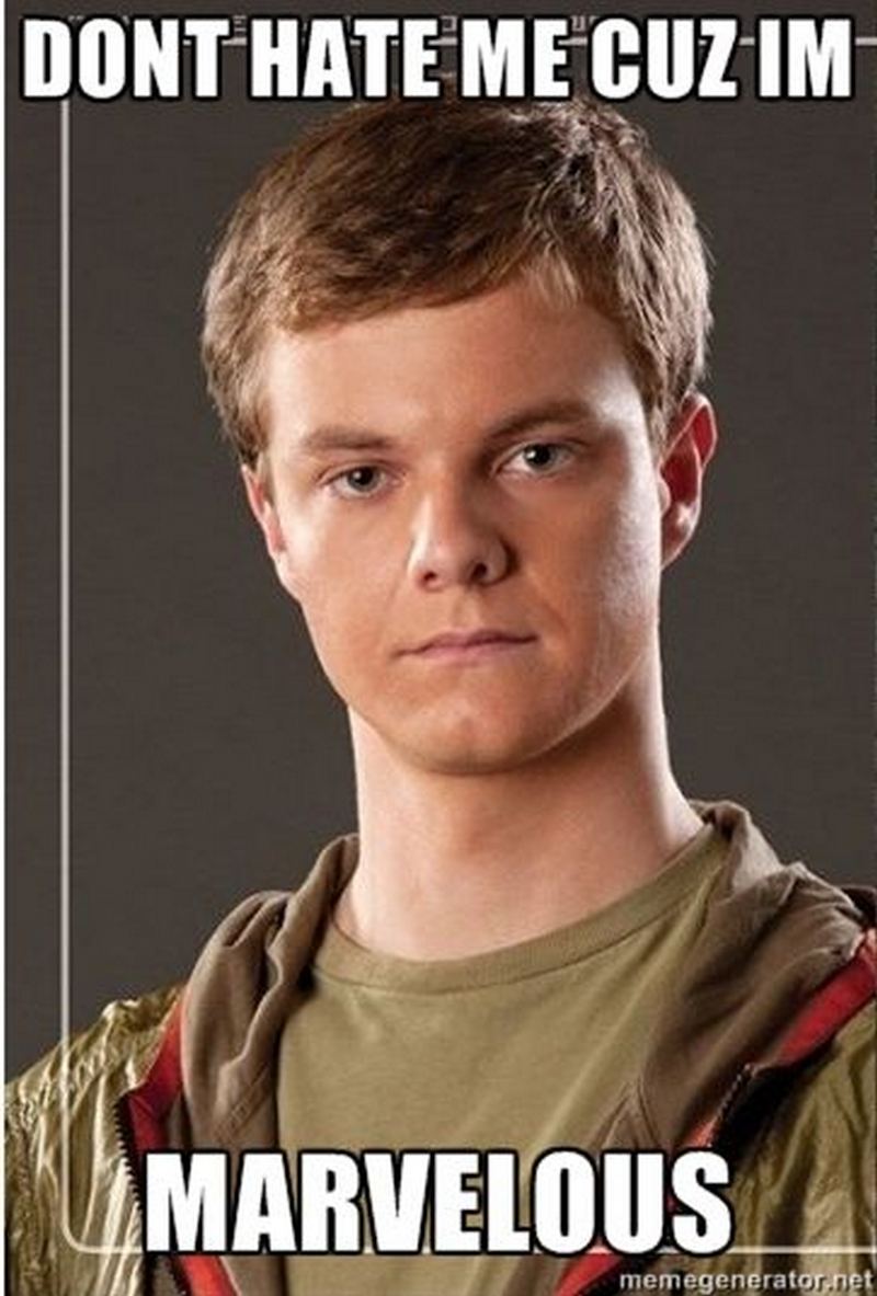 43 Funny Hunger Games Memes