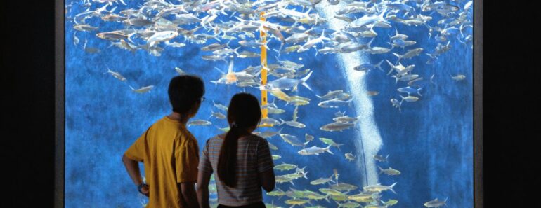 Create a Memorable Aquarium Date Night