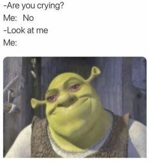 47 Hilarious Crying Memes That Will Make You Laugh Until You Cry